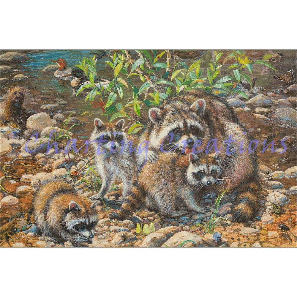 Raccoon Family And Friends